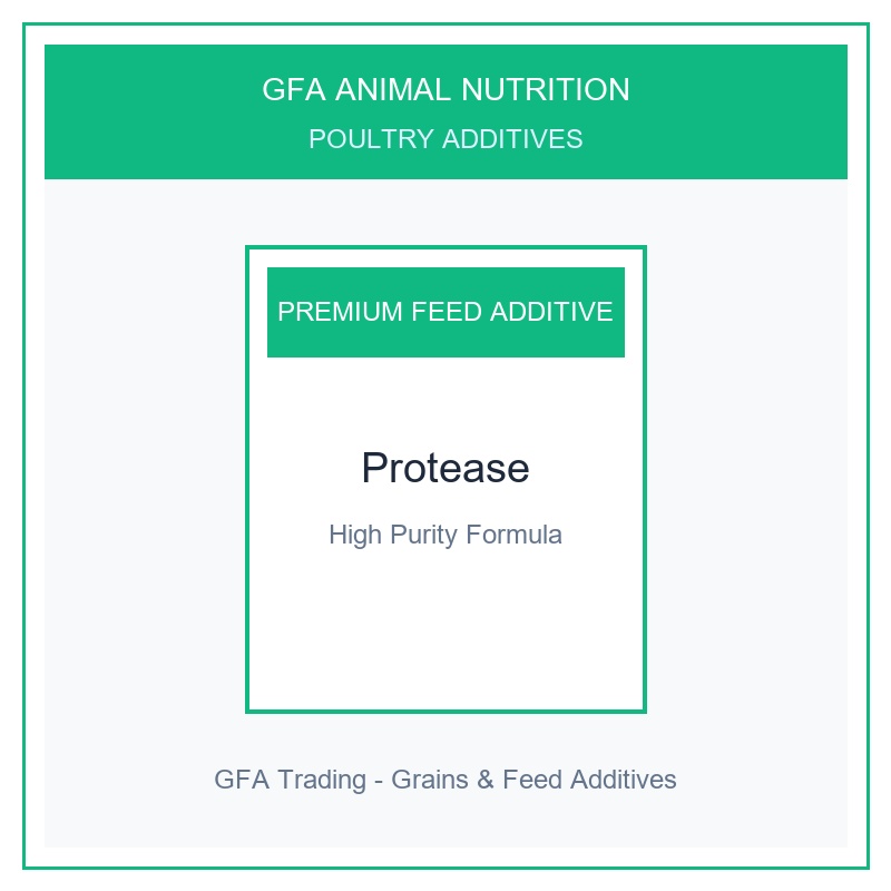 Protease Enzyme (50,000 - 150,000 U/g)